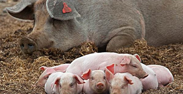 1666797399991795.jpg 001.jpg