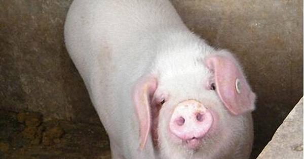 1666797406881955.jpg 002.jpg