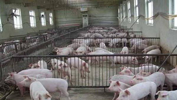 1666881758524257.jpg 002.jpg