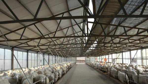 1666881765776394.jpg 003.jpg