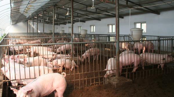 1666886977943430.jpg 001.jpg