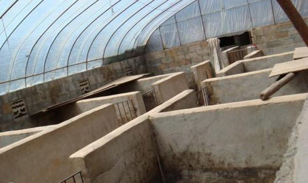 1666886991658321.jpg 002.jpg