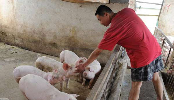 1666886999813491.jpg 003.jpg