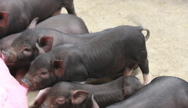 1666887120721368.jpg 001.jpg