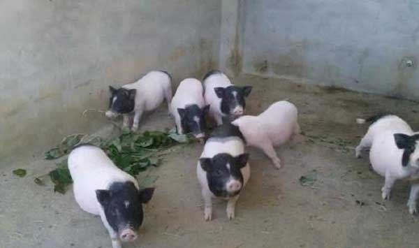 1666887268964949.jpg 001.jpg