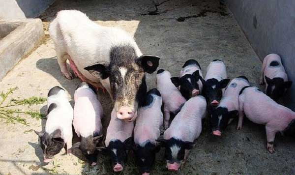 1666887280753389.jpg 003.jpg